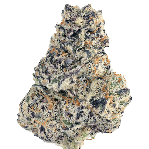 glitter-bomb-64ca85f32ef87e214c6b1955