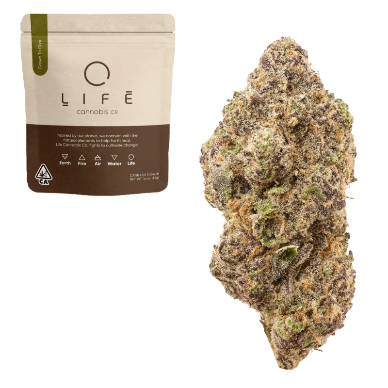Purple Triangle