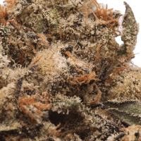 Zkittlez x OG Kush 2 Gram Slam thumbnail 2