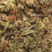 Gummy Buns thumbnail 2