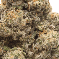 Adios Amigo by CAM 2 Gram Slam thumbnail 2