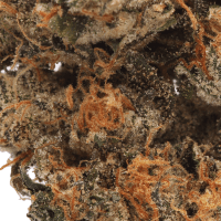 Jawbreaker 2 Gram Slam thumbnail 2