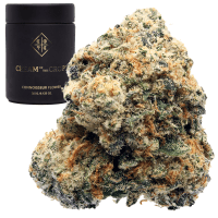 Georgia Z thumbnail 1