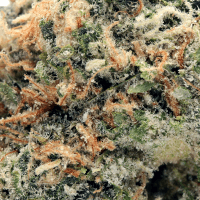 Lemon Royale Smalls thumbnail 2