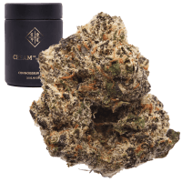 Gravitron thumbnail 1