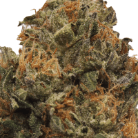 Gummy Buns Ounce thumbnail 2