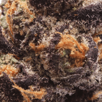 Grape Juice thumbnail 2