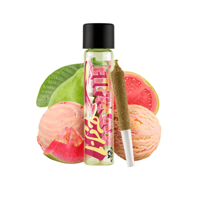 Guava Gelato | 1g FJ-1