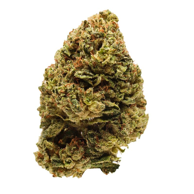 Citrus Bliss | 3.5g