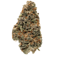 Orange Creamsicle thumbnail 1