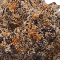 Oreo x Runtz thumbnail 2