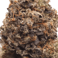 Jet Mints thumbnail 2