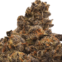 Gelato Mintz Half Ounce thumbnail 2