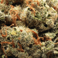 Apple Tarts thumbnail 2