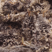 Permanent Marker thumbnail 2