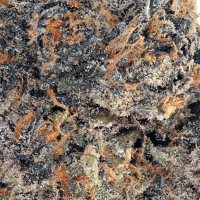 Poison Gushers (Living Soil) thumbnail 2