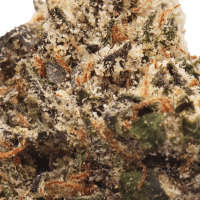 Gravitron thumbnail 2