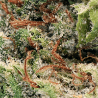 Divine Fro Smalls thumbnail 2