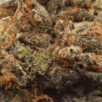 Pearl OG thumbnail 2