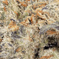 Budder Cake thumbnail 2