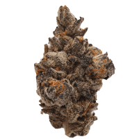 Naughty Biscotti thumbnail 1