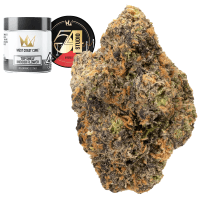 Studio 54 thumbnail 1