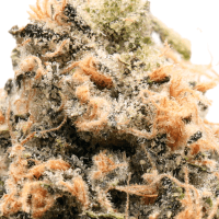 Zkittlez thumbnail 2