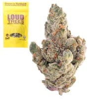 Cocobamba Smalls thumbnail 1