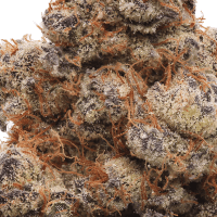 PleaZure 2 Gram Slam thumbnail 2