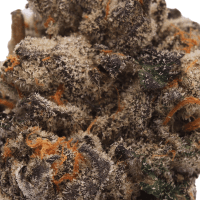 Naughty Biscotti thumbnail 2