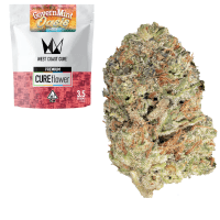 Governmint Oasis thumbnail 1