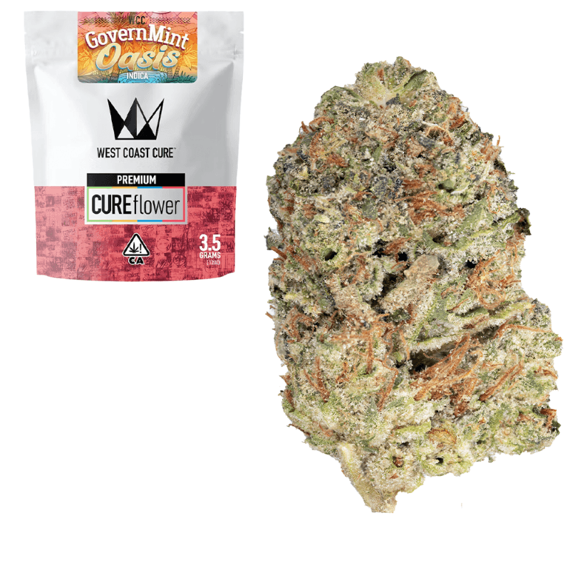 Governmint Oasis