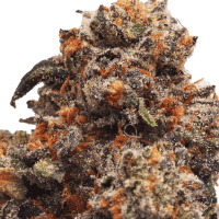 Nanerz 2 Gram Slam thumbnail 2