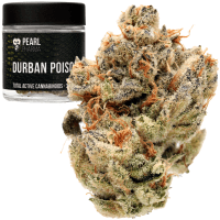 Durban Poison thumbnail 1