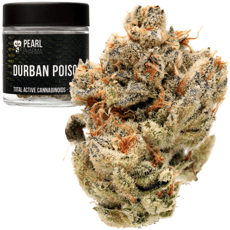 Durban Poison