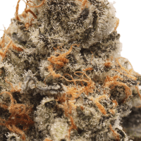 Sin Mint Cookies thumbnail 2