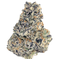 Glitter Bomb thumbnail 1