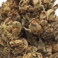 Gelato 41 Half Ounce thumbnail 2