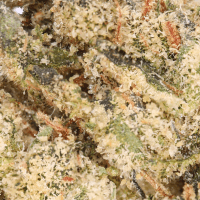 Space Gummies Ounce thumbnail 2