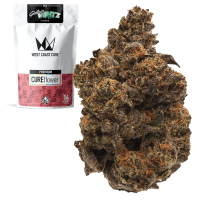 Gelato Mintz Half Ounce thumbnail 1