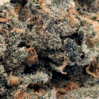 Rainbow Rozay thumbnail 2