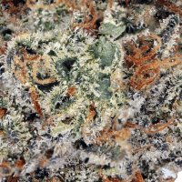 Space Face thumbnail 2