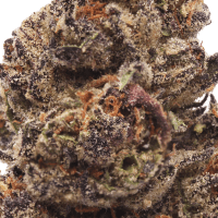 Strawberry Biscotti thumbnail 2