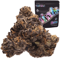 Boba Minis thumbnail 1