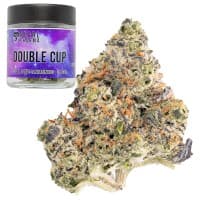 Double Cup thumbnail 1