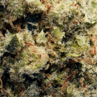 Sunshine #4 Smalls thumbnail 2