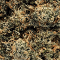 Cheeba by Cali-X 2 Gram Slam thumbnail 2