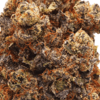 Mendo Crumble thumbnail 2