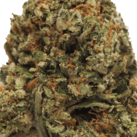 Jealousy Half Ounce thumbnail 2