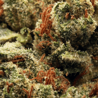 Presidential OG thumbnail 2